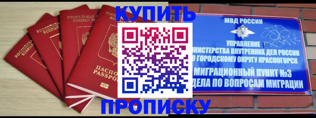 временная регистрация для всех в Клинцах